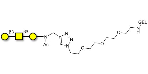Core type 4 (Gb5 triose core structure) grafted on gel for affinity chromatography (Linker-GEL A)