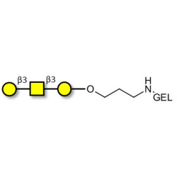 Core type 4 (Gb5 triose core structure) grafted on gel for affinity chromatography (Linker-GEL B)