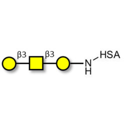 Core type 4 (Gb5 triose core structure) grafted on HSA