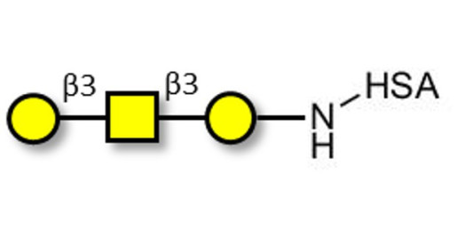 Core type 4 (Gb5 triose core structure) grafted on HSA