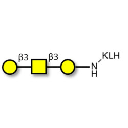 Core type 4 (Gb5 triose core structure) grafted on KLH