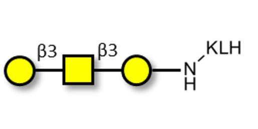 Core type 4 (Gb5 triose core structure) grafted on KLH