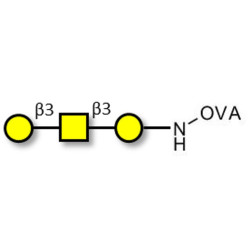 Core type 4 (Gb5 triose core structure) grafted on OVA
