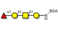 Blood group H antigen...