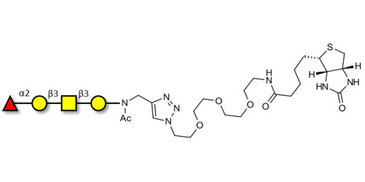 Blood group H antigen tetraose type 4 linked to biotin (Linker-BT A)