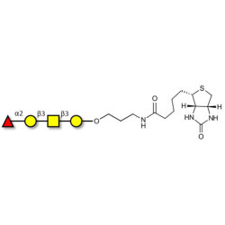 Blood group H antigen tetraose type 4 linked to biotin (Linker-BT B)