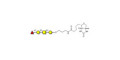 Blood group H antigen tetraose type 4 linked to biotin (Linker-BT B)