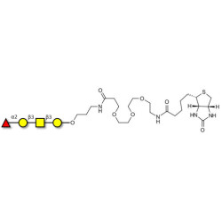 Blood group H antigen tetraose type 4 linked to biotin (Linker-BT C)