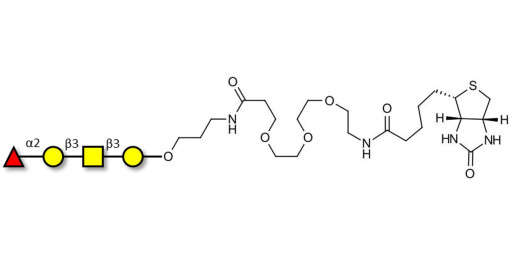 Blood group H antigen tetraose type 4 linked to biotin (Linker-BT C)