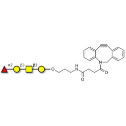 Blood group H antigen tetraose type 4 with DBCO (Linker-DBCO A)