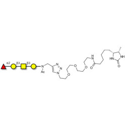 Blood group H antigen tetraose type 4 linked to desthiobiotin (Linker-DBT-A)