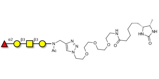 Blood group H antigen tetraose type 4 linked to desthiobiotin (Linker-DBT-A)
