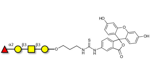 Blood group H antigen tetraose type 4 linked to fluorescein (Linker-FLUO A)