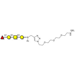 Blood group H antigen tetraose type 4 grafted on gel for affinity chromatography (Linker-GEL A)