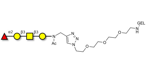 Blood group H antigen tetraose type 4 grafted on gel for affinity chromatography (Linker-GEL A)