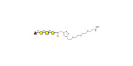 Blood group H antigen...