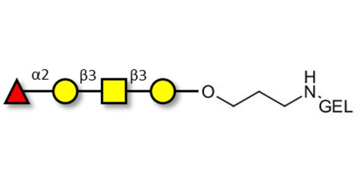 Blood group H antigen tetraose type 4 grafted on gel for affinity chromatography (Linker-GEL B)