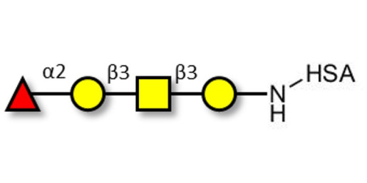 Blood group H antigen tetraose type 4 grafted on HSA
