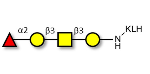 Blood group H antigen tetraose type 4 grafted on KLH