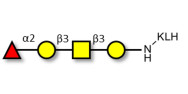 Blood group H antigen...