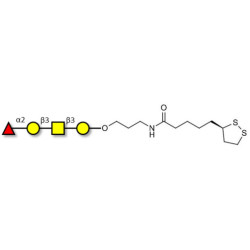 Blood group H antigen tetraose type 4 with cyclic di-thiol (Linker-LIPO A)