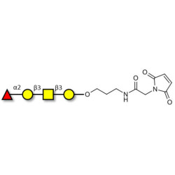 Blood group H antigen tetraose type 4 linked to maleimide (Linker-MAL A)