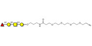 Blood group H antigen...
