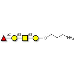 Blood group H antigen tetraose type 4 with free terminal amine (Linker-NH2 A)