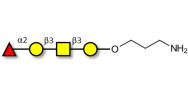 Blood group H antigen...