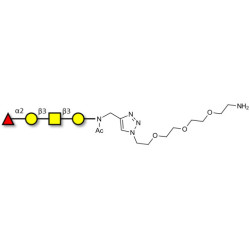 Blood group H antigen tetraose type 4 with free terminal amine (Linker-NH2 B)