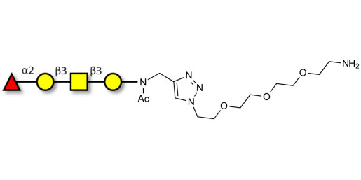 Blood group H antigen tetraose type 4 with free terminal amine (Linker-NH2 B) - GLY127-NAc-sp1-NH2