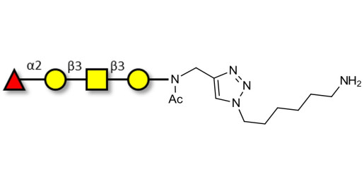 Blood group H antigen tetraose type 4 with free terminal amine (Linker-NH2 D)