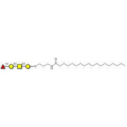 Blood group H antigen tetraose type 4 with stearic chain (Linker-STEA A)