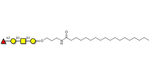 Blood group H antigen tetraose type 4 with stearic chain (Linker-STEA A)