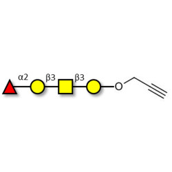 Blood group H antigen tetraose type 4 with terminal alkyne (Linker-CΞCH B)