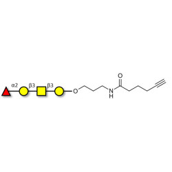 Blood group H antigen tetraose type 4 with terminal alkyne (Linker-CΞCH C)