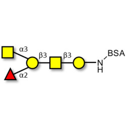 Blood group A antigen pentaose type 4 grafted on BSA