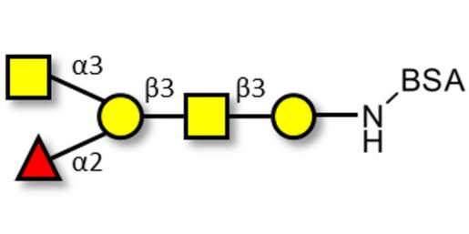 Blood group A antigen pentaose type 4 grafted on BSA - Blood group A antigen pentaose type IV; Blood group A antigen pentasaccharide type IV; Blood group A antigen pentasaccharide type 4; A-pentasaccharide type 4