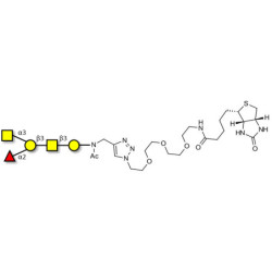 Blood group A antigen pentaose type 4 linked to biotin (Linker-BT A)