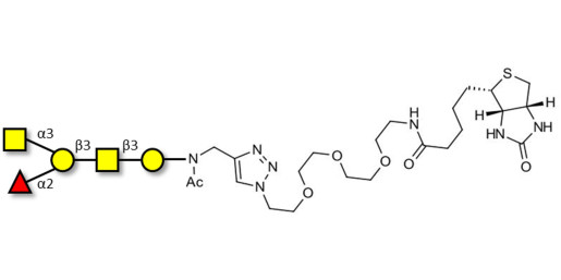 Blood group A antigen pentaose type 4 linked to biotin (Linker-BT A) - Blood group A antigen pentaose type IV; Blood group A antigen pentasaccharide type IV; Blood group A antigen pentasaccharide type 4; A-pentasaccharide type 4