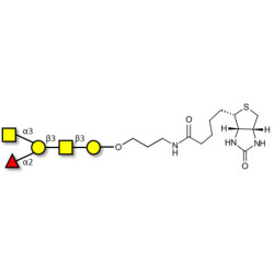 Blood group A antigen pentaose type 4 linked to biotin (Linker-BT B)
