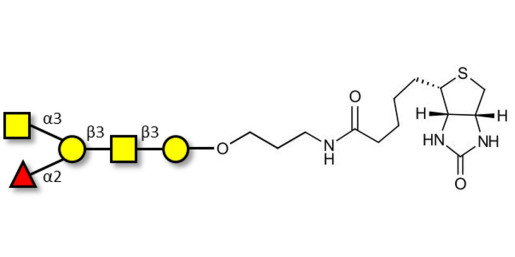 Blood group A antigen pentaose type 4 linked to biotin (Linker-BT B) - Blood group A antigen pentaose type IV; Blood group A antigen pentasaccharide type IV; Blood group A antigen pentasaccharide type 4; A-pentasaccharide type 4