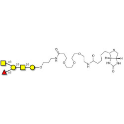 Blood group A antigen pentaose type 4 linked to biotin (Linker-BT C)