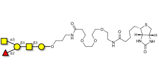 Blood group A antigen pentaose type 4 linked to biotin (Linker-BT C) - Blood group A antigen pentaose type IV; Blood group A antigen pentasaccharide type IV; Blood group A antigen pentasaccharide type 4; A-pentasaccharide type 4