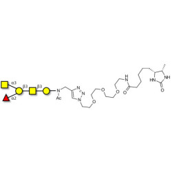 Blood group A antigen pentaose type 4 linked to desthiobiotin (Linker-DBT-A)