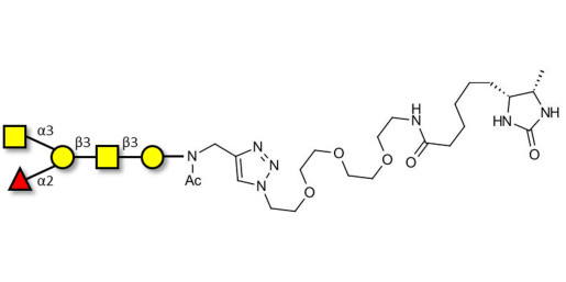 Blood group A antigen pentaose type 4 linked to desthiobiotin (Linker-DBT-A) - Blood group A antigen pentaose type IV; Blood group A antigen pentasaccharide type IV; Blood group A antigen pentasaccharide type 4; A-pentasaccharide type 4
