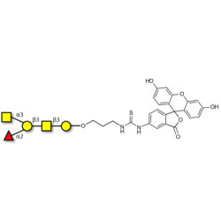 Blood group A antigen pentaose type 4 linked to fluorescein (Linker-FLUO A)