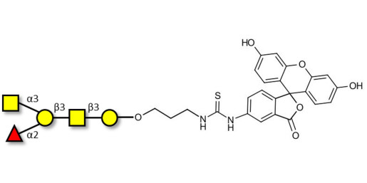 Blood group A antigen pentaose type 4 linked to fluorescein (Linker-FLUO A) - Blood group A antigen pentaose type IV; Blood group A antigen pentasaccharide type IV; Blood group A antigen pentasaccharide type 4; A-pentasaccharide type 4