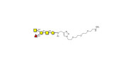 Blood group A antigen...