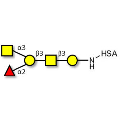 Blood group A antigen pentaose type 4 grafted on HSA